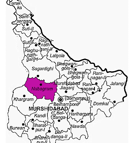 A case study on the Panchayat Pradhan