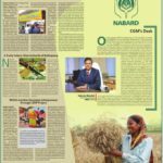 NABARD e-Shakti Project