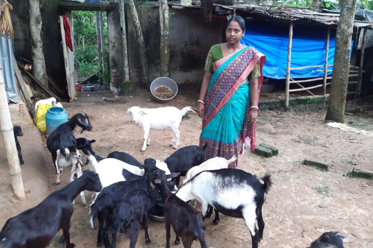 Goat Rearing and the Go Getter